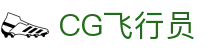 CG飞行员 - cg飞行员模拟器c789.app
